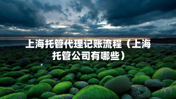 上海托管代理記賬流程（上海托管公司有哪些）