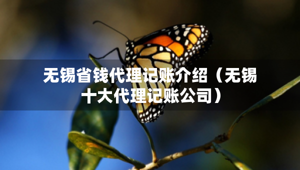 無錫省錢代理記賬介紹（無錫十大代理記賬公司）