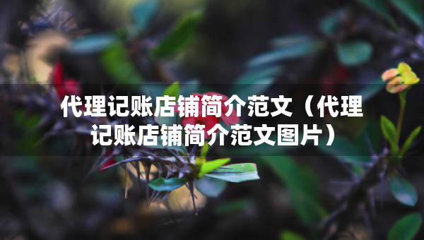 代理記賬店鋪簡(jiǎn)介范文（代理記賬店鋪簡(jiǎn)介范文圖片）