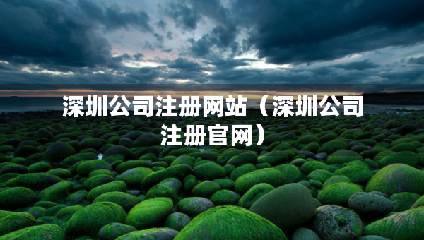 深圳公司注冊(cè)網(wǎng)站（深圳公司注冊(cè)官網(wǎng)）