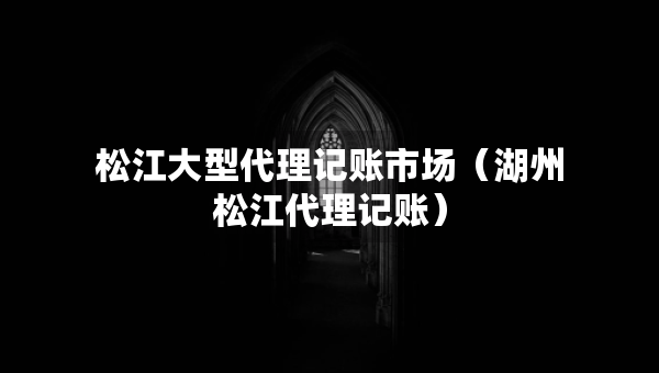 松江大型代理記賬市場（湖州松江代理記賬）