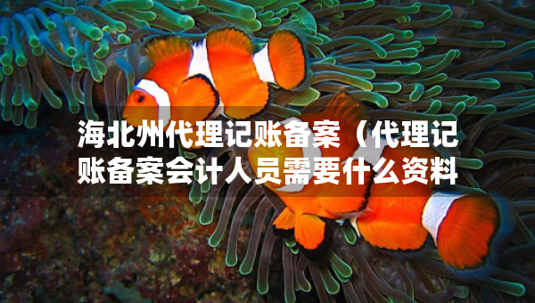 海北州代理記賬備案（代理記賬備案會計人員需要什么資料）