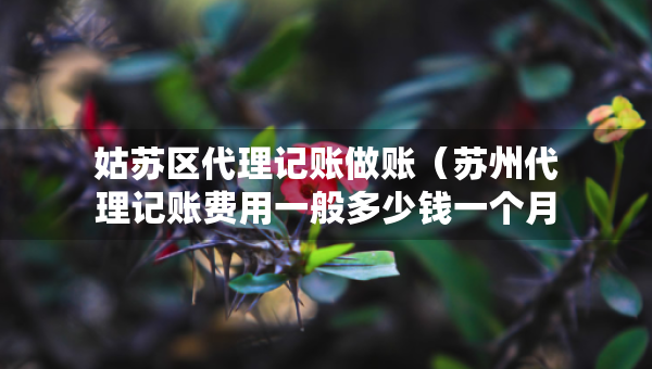 姑蘇區(qū)代理記賬做賬（蘇州代理記賬費用一般多少錢一個月）