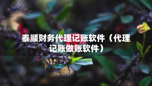 泰順財務(wù)代理記賬軟件（代理記賬做賬軟件）