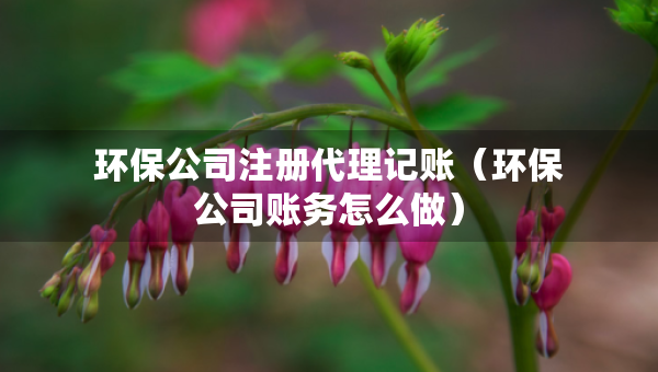 環(huán)保公司注冊(cè)代理記賬（環(huán)保公司賬務(wù)怎么做）