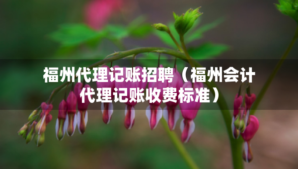 福州代理記賬招聘（福州會(huì)計(jì)代理記賬收費(fèi)標(biāo)準(zhǔn)）