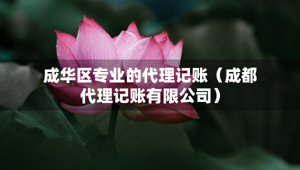 成華區(qū)專業(yè)的代理記賬（成都代理記賬有限公司）