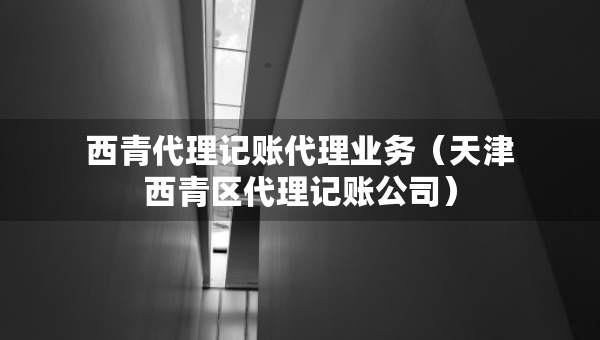 西青代理記賬代理業(yè)務(wù)（天津西青區(qū)代理記賬公司）