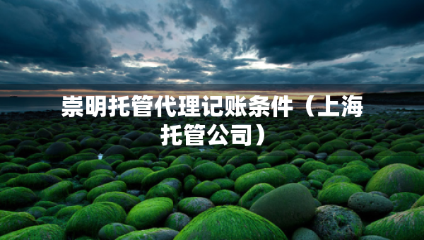 崇明托管代理記賬條件（上海托管公司）