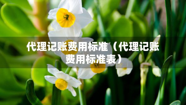 代理記賬費(fèi)用標(biāo)準(zhǔn)（代理記賬費(fèi)用標(biāo)準(zhǔn)表）