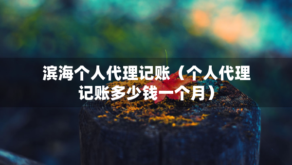 濱海個(gè)人代理記賬（個(gè)人代理記賬多少錢一個(gè)月）