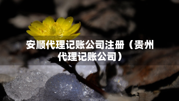 安順代理記賬公司注冊(cè)（貴州代理記賬公司）