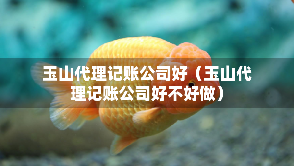 玉山代理記賬公司好（玉山代理記賬公司好不好做）