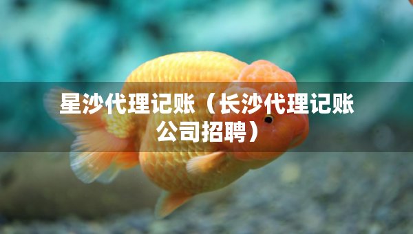 星沙代理記賬（長(zhǎng)沙代理記賬公司招聘）