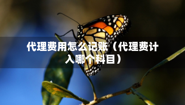 代理費(fèi)用怎么記賬（代理費(fèi)計(jì)入哪個(gè)科目）