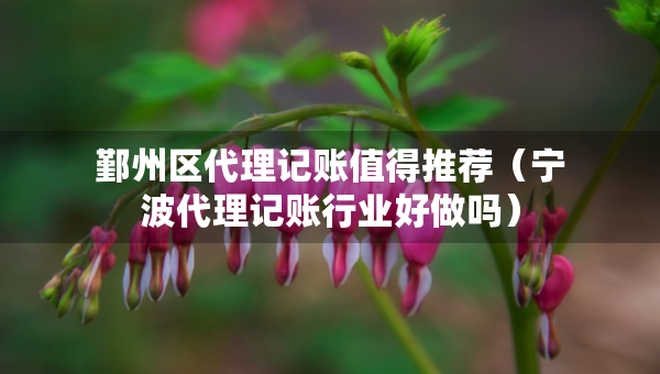 鄞州區(qū)代理記賬值得推薦（寧波代理記賬行業(yè)好做嗎）