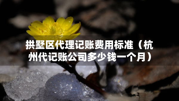 拱墅區(qū)代理記賬費用標準（杭州代記賬公司多少錢一個月）