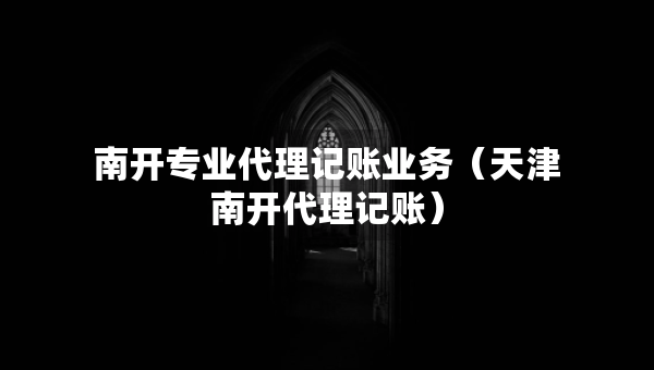 南開(kāi)專業(yè)代理記賬業(yè)務(wù)（天津南開(kāi)代理記賬）