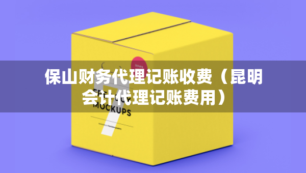 保山財(cái)務(wù)代理記賬收費(fèi)（昆明會(huì)計(jì)代理記賬費(fèi)用）