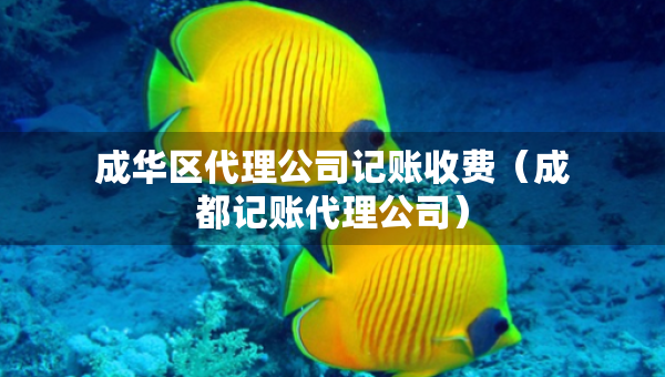 成華區(qū)代理公司記賬收費（成都記賬代理公司）