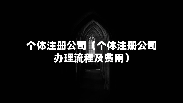 個體注冊公司（個體注冊公司辦理流程及費用）