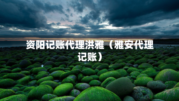 資陽(yáng)記賬代理洪雅（雅安代理記賬）