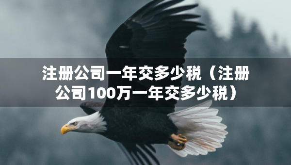 注冊公司一年交多少稅（注冊公司100萬一年交多少稅）