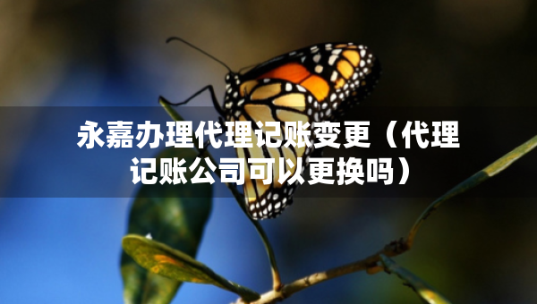 永嘉辦理代理記賬變更（代理記賬公司可以更換嗎）