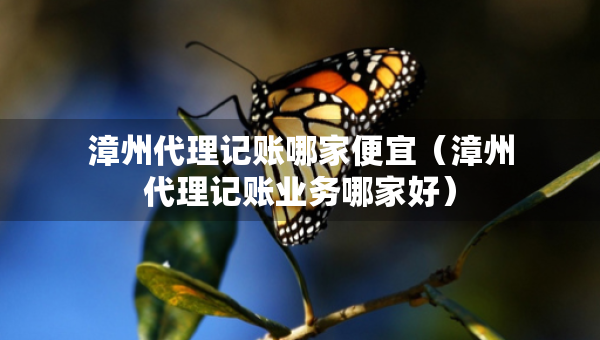 漳州代理記賬哪家便宜（漳州代理記賬業(yè)務哪家好）