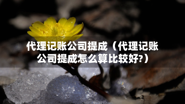 代理記賬公司提成（代理記賬公司提成怎么算比較好?）