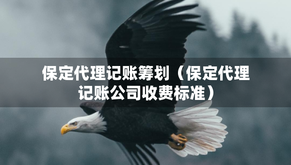 保定代理記賬籌劃（保定代理記賬公司收費(fèi)標(biāo)準(zhǔn)）