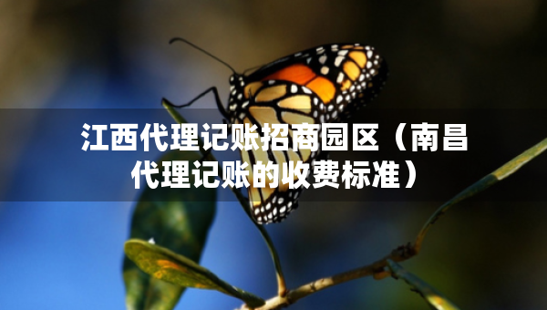 江西代理記賬招商園區(qū)（南昌代理記賬的收費(fèi)標(biāo)準(zhǔn)）