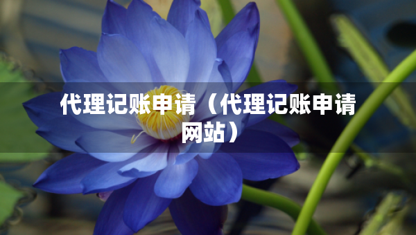 代理記賬申請（代理記賬申請網(wǎng)站）