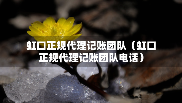 虹口正規(guī)代理記賬團(tuán)隊(duì)（虹口正規(guī)代理記賬團(tuán)隊(duì)電話）