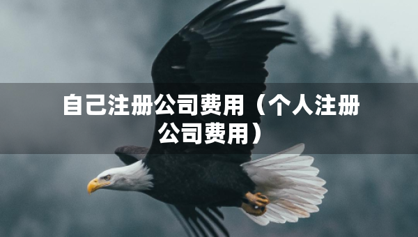 自己注冊(cè)公司費(fèi)用（個(gè)人注冊(cè)公司費(fèi)用）