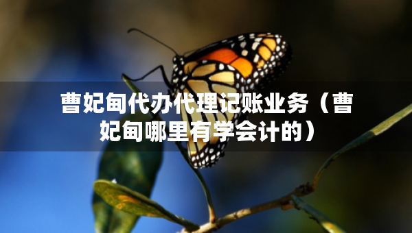 曹妃甸代辦代理記賬業(yè)務(wù)（曹妃甸哪里有學(xué)會計(jì)的）