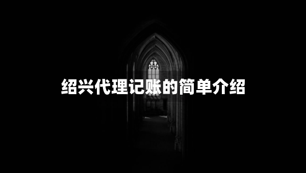 紹興代理記賬的簡單介紹