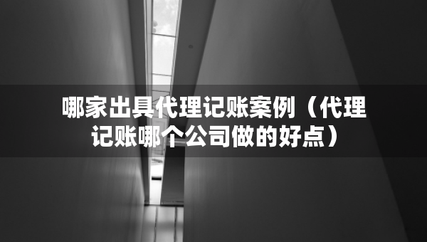 哪家出具代理記賬案例（代理記賬哪個公司做的好點(diǎn)）