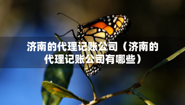 濟南的代理記賬公司（濟南的代理記賬公司有哪些）