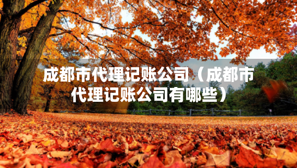 成都市代理記賬公司（成都市代理記賬公司有哪些）