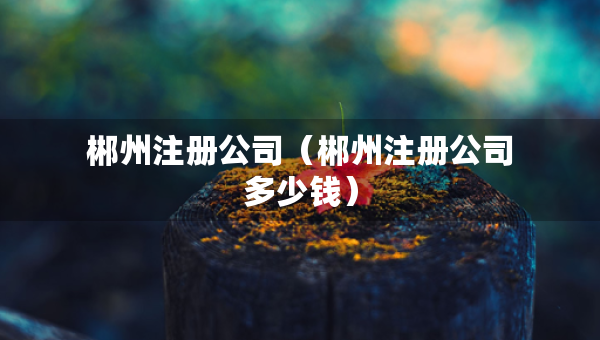 郴州注冊(cè)公司（郴州注冊(cè)公司多少錢(qián)）