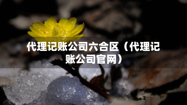 代理記賬公司六合區(qū)（代理記賬公司官網(wǎng)）