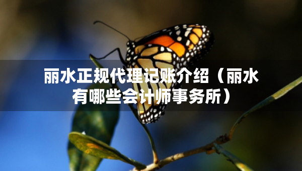 麗水正規(guī)代理記賬介紹（麗水有哪些會(huì)計(jì)師事務(wù)所）