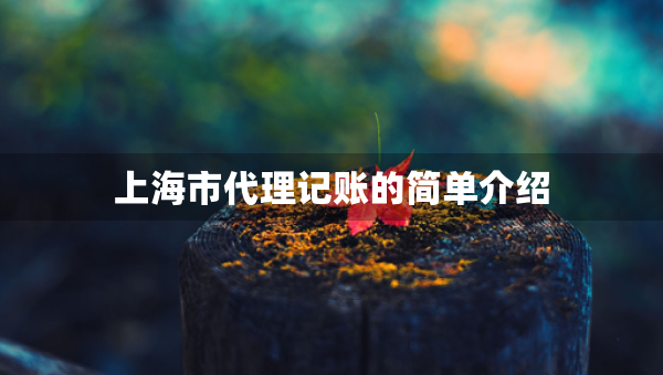 上海市代理記賬的簡(jiǎn)單介紹