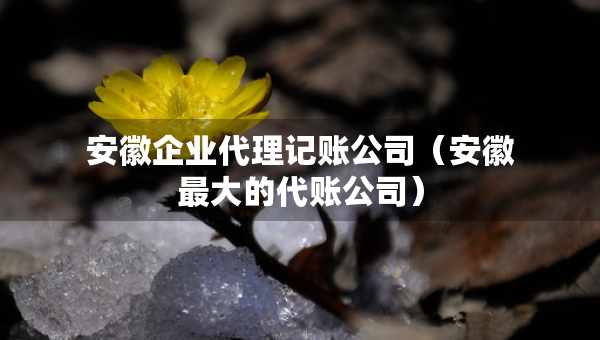 安徽企業(yè)代理記賬公司（安徽最大的代賬公司）