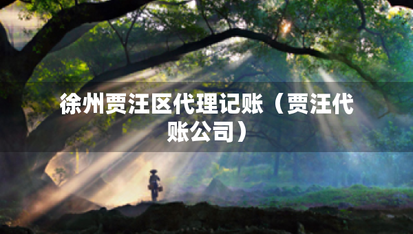 徐州賈汪區(qū)代理記賬（賈汪代賬公司）