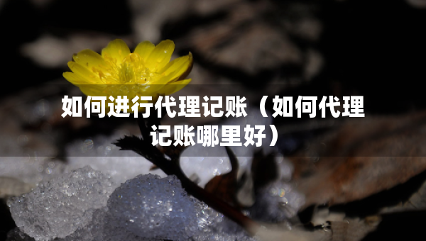 如何進(jìn)行代理記賬（如何代理記賬哪里好）