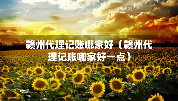 贛州代理記賬哪家好（贛州代理記賬哪家好一點(diǎn)）