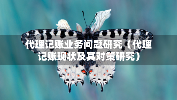 代理記賬業(yè)務(wù)問題研究（代理記賬現(xiàn)狀及其對策研究）