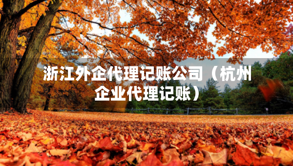 浙江外企代理記賬公司（杭州企業(yè)代理記賬）